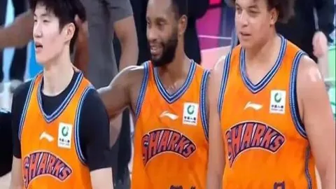 燕云十六声青州区域新门派文津馆首曝